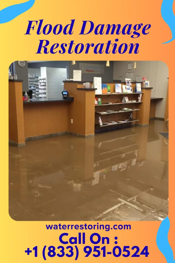 Flood Damage Restoration in Saulsbury, TN