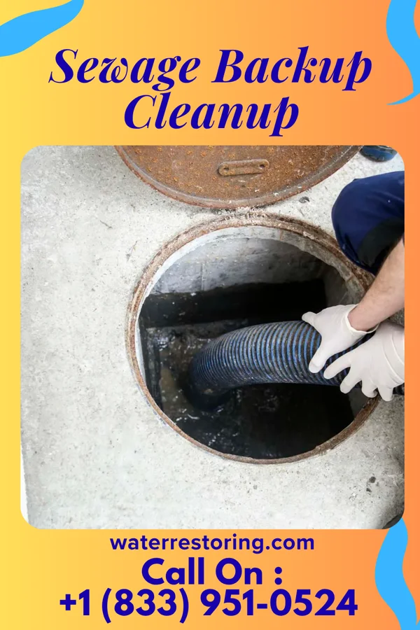 Sewage Backup Cleanup in Saulsbury, TN