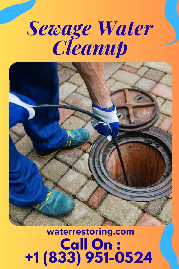 Sewage Water Cleanup in Saulsbury, TN